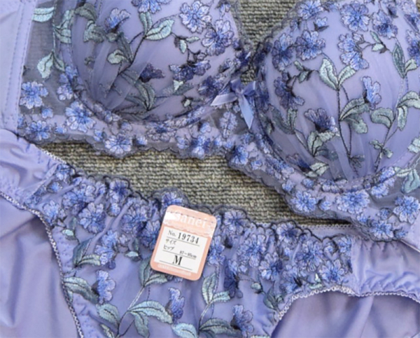 19734　脇高サンライトネモフィラ　99734(ノンワイヤー)