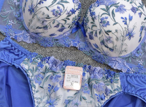 19735　脇高サンライトネモフィラ　99735(ノンワイヤー)